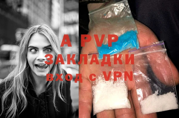 стафф Аркадак